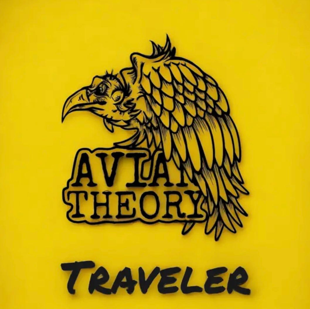 Song Review | "Traveler" - Avian Theory