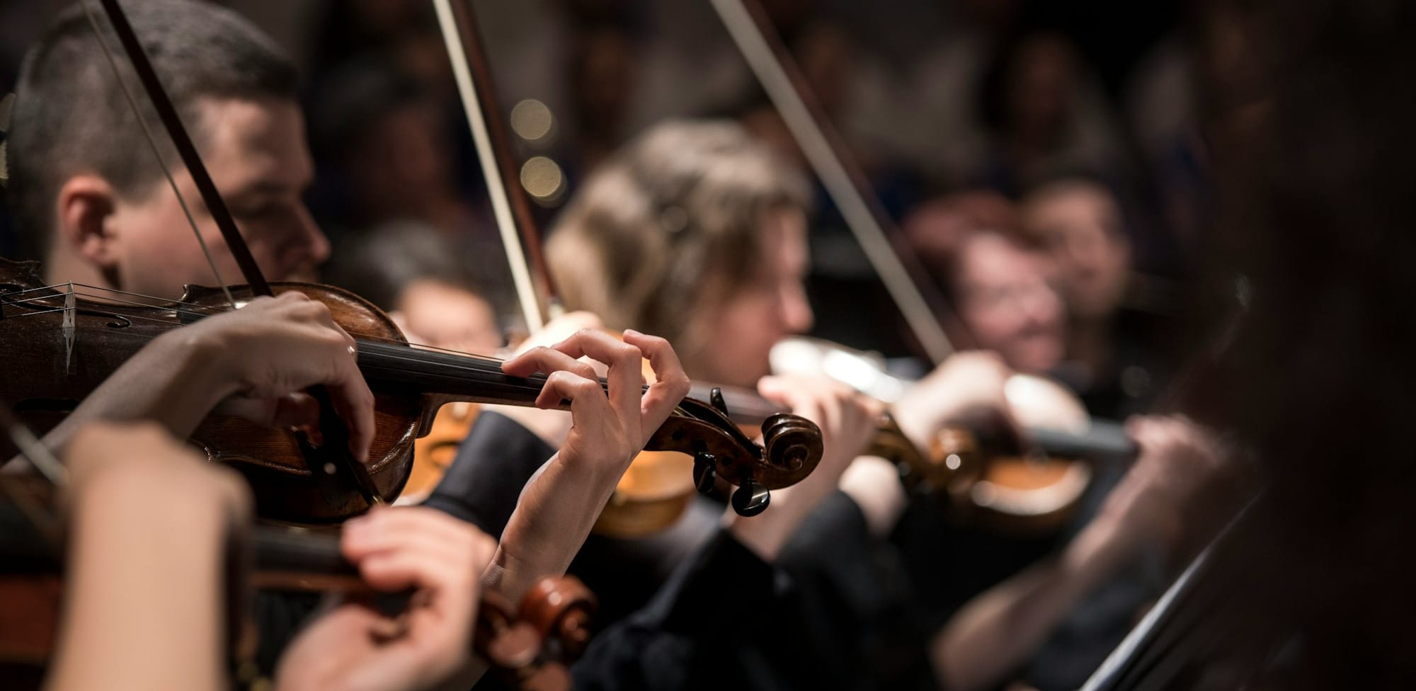 people playing violin inside dim room